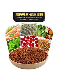 Thức ăn kích màu cho Rùa Nước hãng KAMA - Cám dinh dưỡng cho rùa nước - thức ăn rùa nước