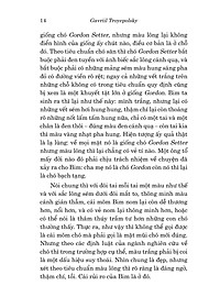 product-img-13