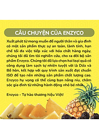 Nước lau đa năng sinh học ENZYCO 475ml - Chiết xuất Bồ hòn và Enzyme Dứa