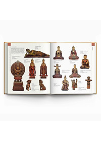 product-img-14