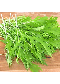 Hạt Giống Cải Bẹ Xanh Đuôi Phụng Phú Nông Gói 10 Gram