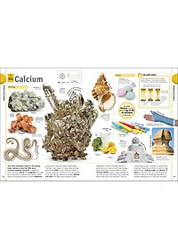 product-img-11