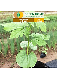 Hạt Giống Khổ Qua Greenhome, Gói 1gr~10 hạt, Dễ Trồng Quanh Năm, Nảy Mầm Cao, Thu Hoạch Nhanh, Năng Suất Cao T05
