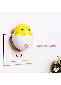 product-img-8
