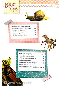 Sách Động Vật Kỳ Quặc