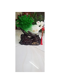 product-img-2