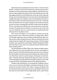 product-img-10