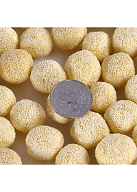 1Kg Vật liệu lọc hồ cá: bông 8D, men vi sinh hồ cá PSB 100ML cao cấp