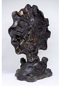 product-img-1