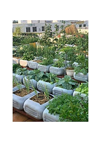 Phân Đạm Ure - Chuyên Rau Màu Hoa Cây Cảnh 1KG