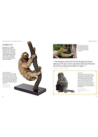 Sách Fantastic Beasts: The Wonder of Nature (Amazing Animals and the Magical Creatures of Harry Potter and Fantastic Beasts) (Paperback)