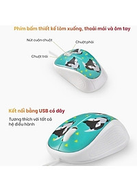 product-img-6