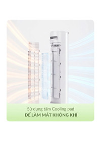 product-img-10