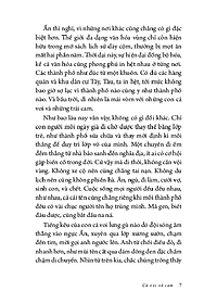 product-img-8