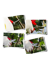 Kéo cắt tỉa cây cảnh Hàn Quốc S-250 làm bằng thép SK5 , cắt tỉa bonsai, cắt cây đa năng