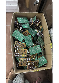 VỈ MẠCH LIOA DẢI 90(150) TỤ BÉ