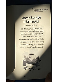 product-img-12