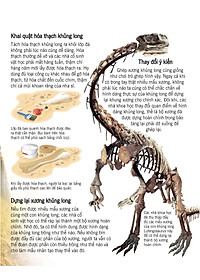 Sách Bách Khoa Tri Thức Về Khám Phá Thế Giới Cho Trẻ Em - Khủng Long (Tái Bản 2018)