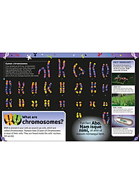 The Dna Book: Discover What Makes You You