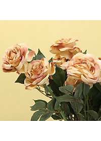 product-img-11