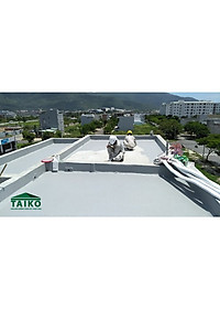 Sơn Chống Thấm TAIKO NITTON - Chống thấm vết nứt mái nhà, sàn nhà vệ sinh, máng xối, tôn, triệt để (Hiệu quả hơn khi pha với xi măng)