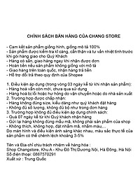 Chai Tẩy Vết Bẩn, Vi Sinh Giày Đa Năng PLAC