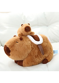 product-img-9