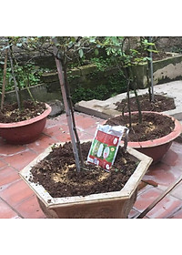 Chế phẩm sinh học    -  Chuyên cải tạo đất, thay thế phân hữu cơ, vô cơ, trị vàng lá thối rễ