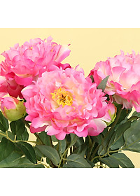 product-img-11