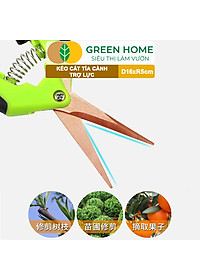 Kéo Cắt Cành GreenHome, D16,5xR4,5cm, Inox, Mũi Nhọn, Siêu Bén, Không Gỉ, Có Khoá An Toàn, Nhiều Màu Lựa Chọn