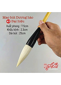 product-img-1