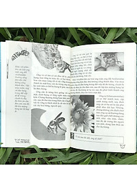 Sách 10 Vạn Điều Lý Thú Về Động Vật - Những Loài Ngộ Nghĩnh