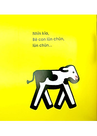 product-img-6