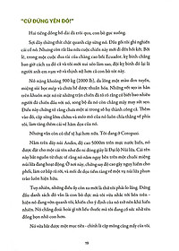 product-img-6