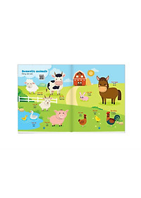product-img-1