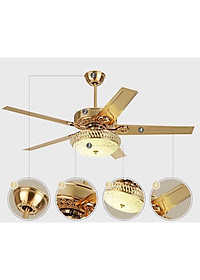 product-img-5