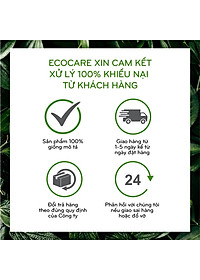 Nước tẩy rửa bồn cầu hữu cơ Ecocare 1L làm sạch, diệt khuẩn, khử mùi hiệu quả với tinh dầu Sả chanh/Quế