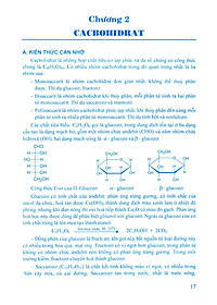 product-img-11