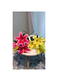 product-img-6