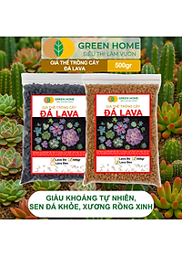 Đá Nham Thạch Lava GreenHome, Bao 500GR, Giá Thể Cho Thủy Sinh, Bonsai, Xương Rồng Màu Đỏ, Đen, Sạch Bụi