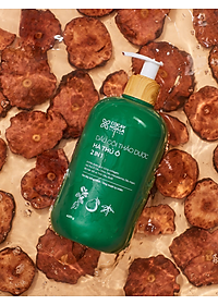 Dầu Gội Xả 2in1 Hà Thủ Ô Cỏ Cây Hoa Lá VIETNAM - Dưỡng Tóc Đen Mượt, Bóng Khỏe, Dung tích 420g/chai