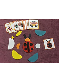 Ghép hình tư duy theo thẻ Montessori