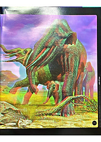 Sách 3D: Những Loài Thú Lớn Họ Mèo