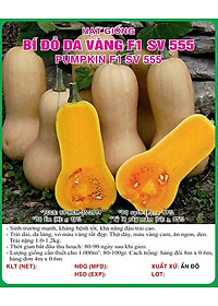 Hạt giống Bí đỏ da vàng F1 giống khỏe quả dẻo ngọt VTS169