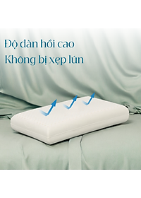 Gối Cao Su Vạn Thành Oval VTGCSO4056 (40 x 64 cm) - Trắng