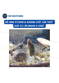 product-img-6