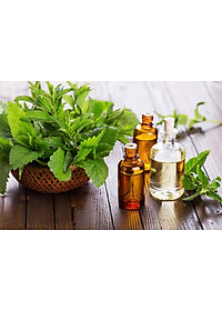 product-img-9