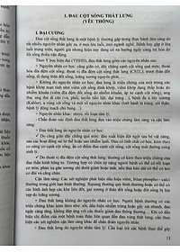 product-img-12