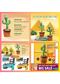 Cây Xương Rồng Nhảy Múa Nhái Giọng Sạc Pin