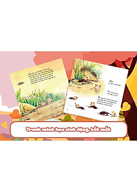product-img-4